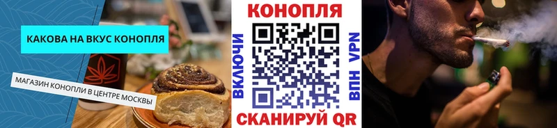 mega онион  Острогожск  Canna-Cookies конопля  продажа наркотиков 