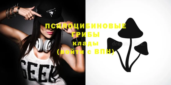 ALPHA PVP Белокуриха
