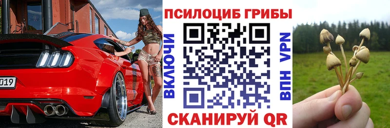 блэк спрут онион  Острогожск  Галлюциногенные грибы прущие грибы  где купить наркотик 